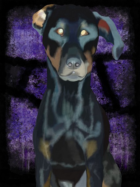 Doberman