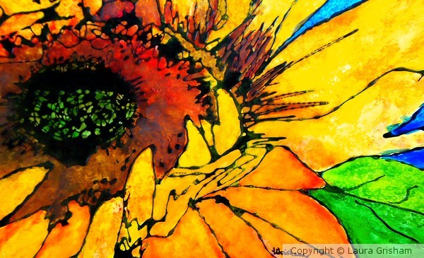 Gina's Sunflower