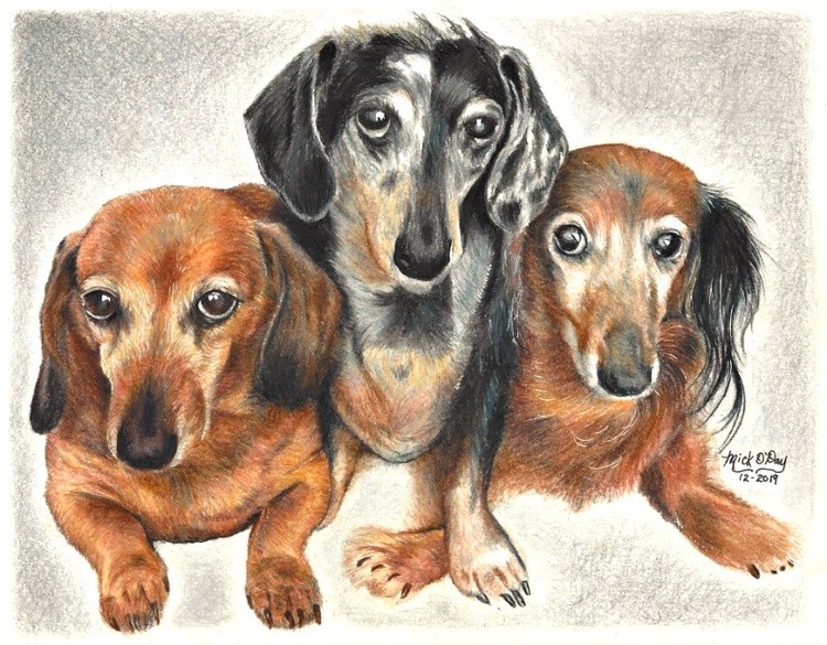 3dogs2