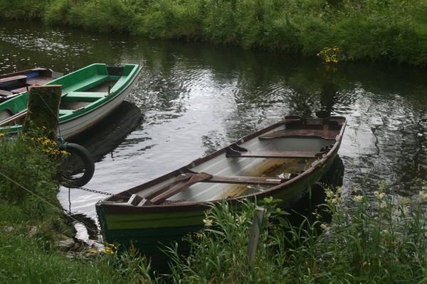 Up a Creek