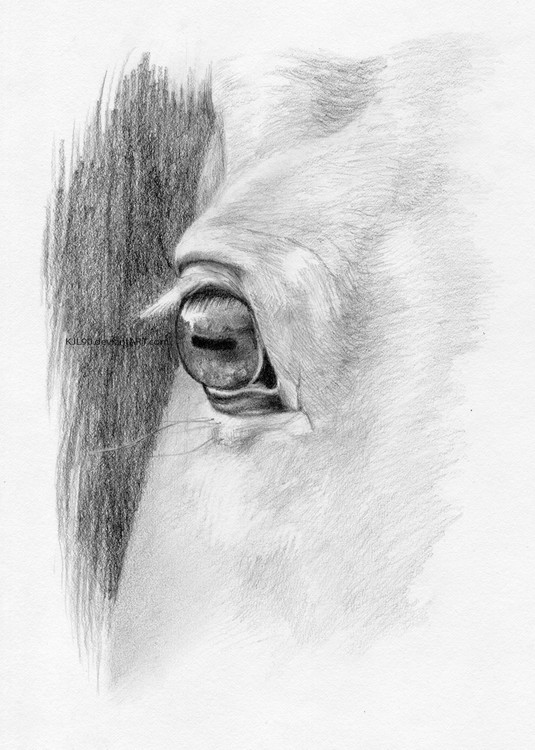 Perception