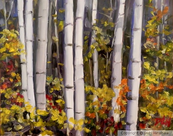 Birch Trees