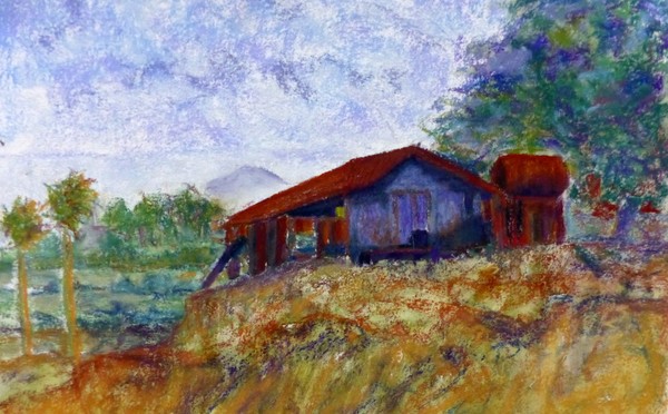 The Old Shed