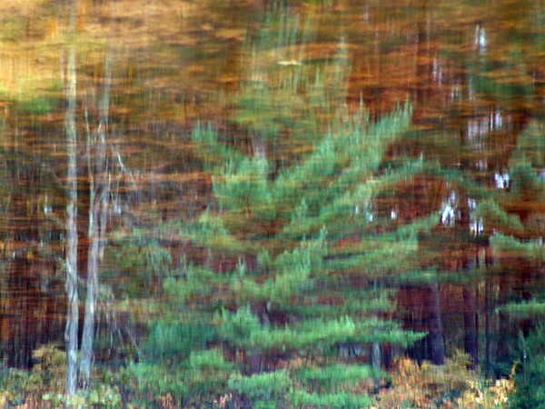 Ghostly Reflections