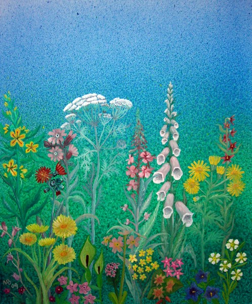 Flower Meadow
