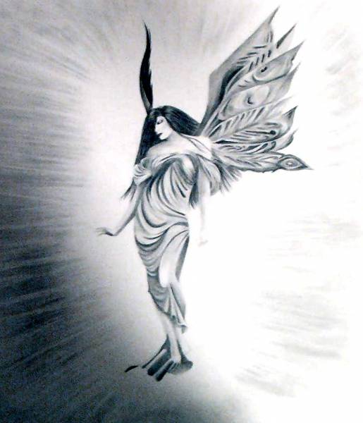 Fairy with feather wings