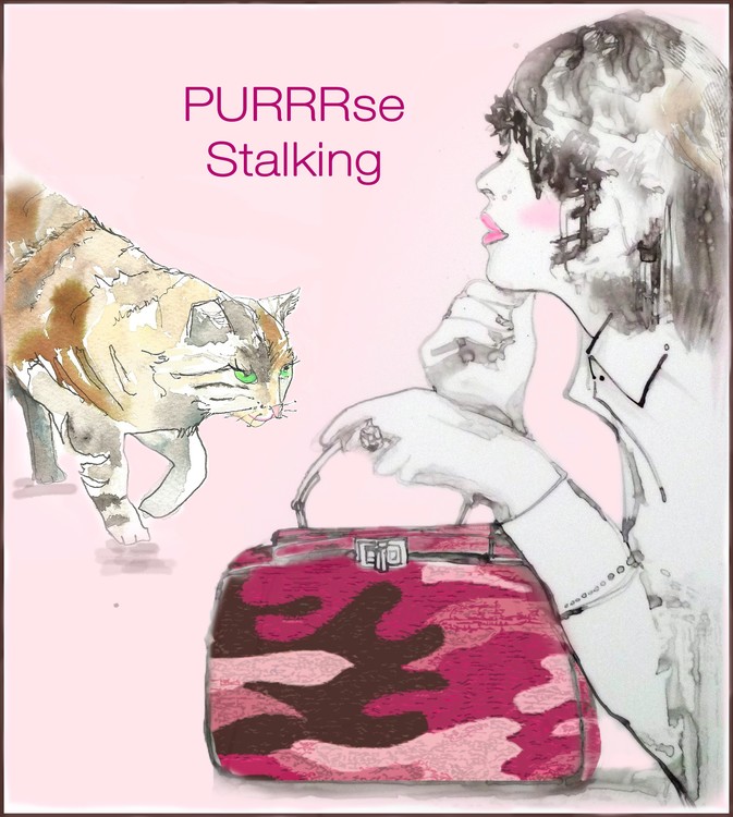 Meow and Purrrrrr!