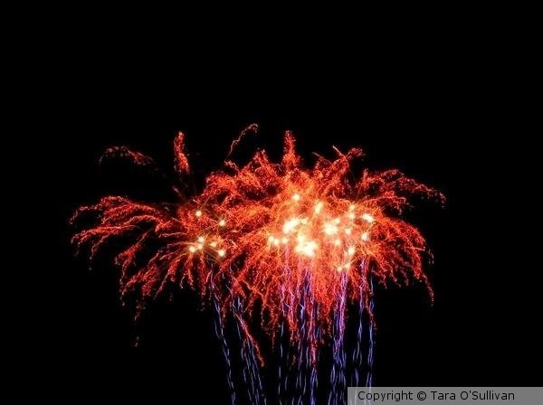 Fiery Palms