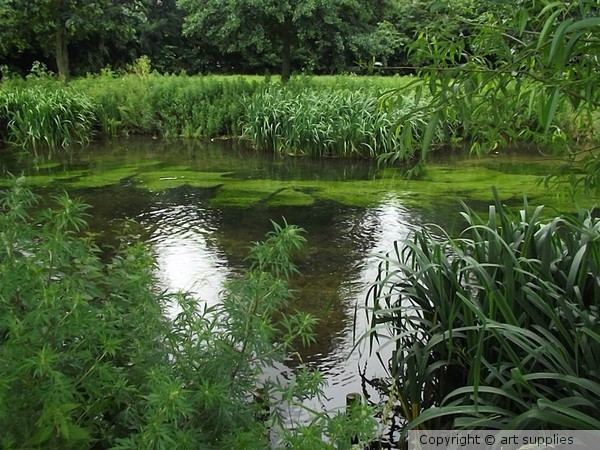 River.Green