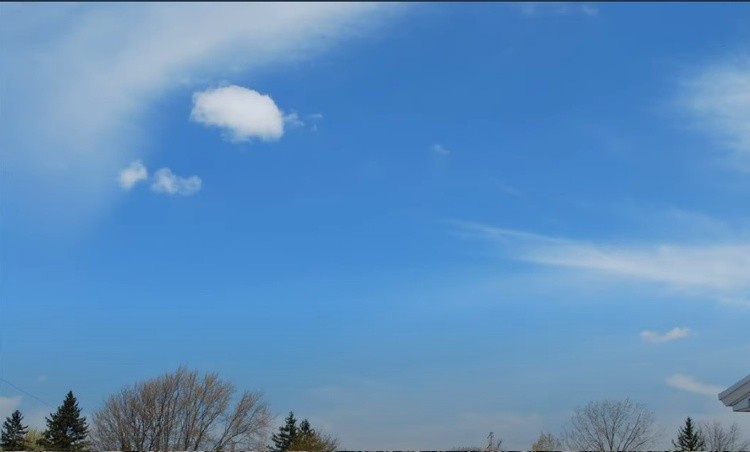 Dunnville Forest 19