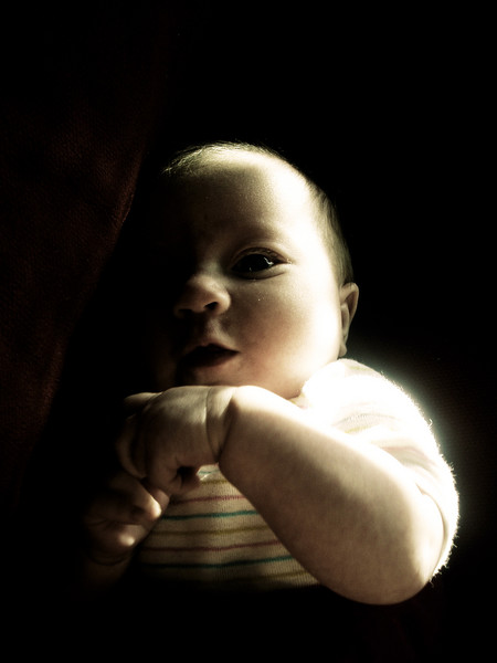 The Little Vampire 