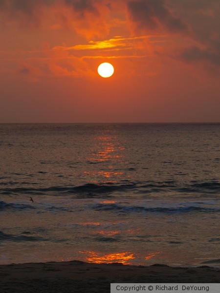 NAGS HEAD SUNRISE