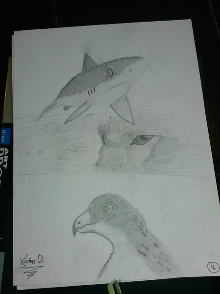 pencil version of predators of earth