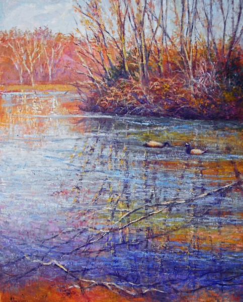 The pond in spring