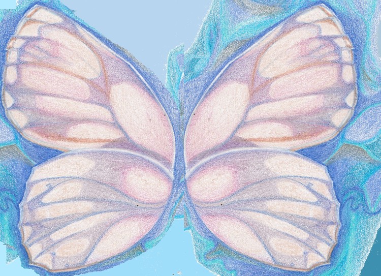 Butterfly Wings