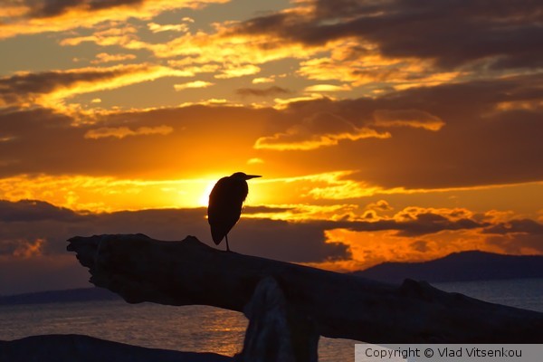 Sunset Alone