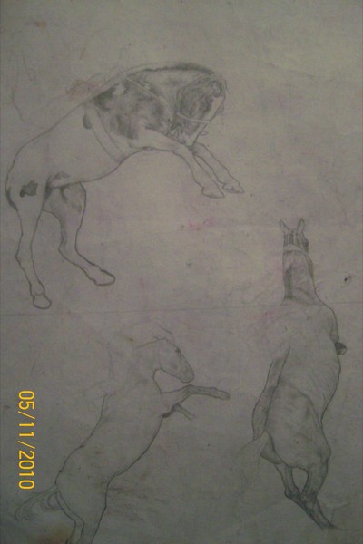 Horses2