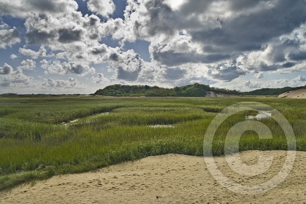 SALT MARSH CAPE COD