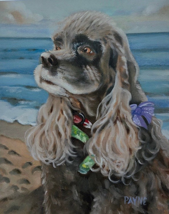 Lucy at the beach 