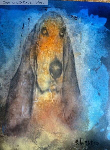 Beagle dog