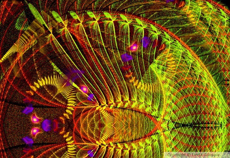 Butterflies Weave