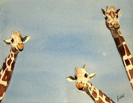 Giraffes (Hohe Tiere)