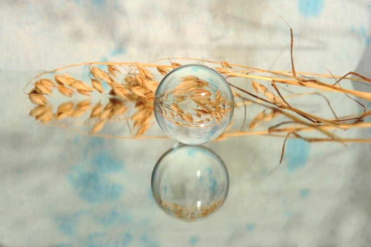 Oat and Glass Ball