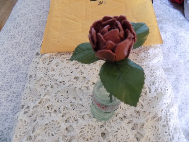 Pink Rose