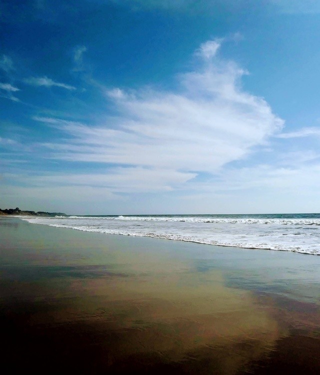 Reflections Santa Cruz, California