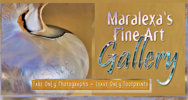 Maralexa's Fine Art Gallery