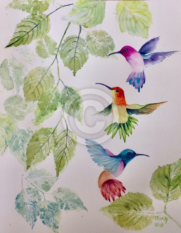 Hummingbirds