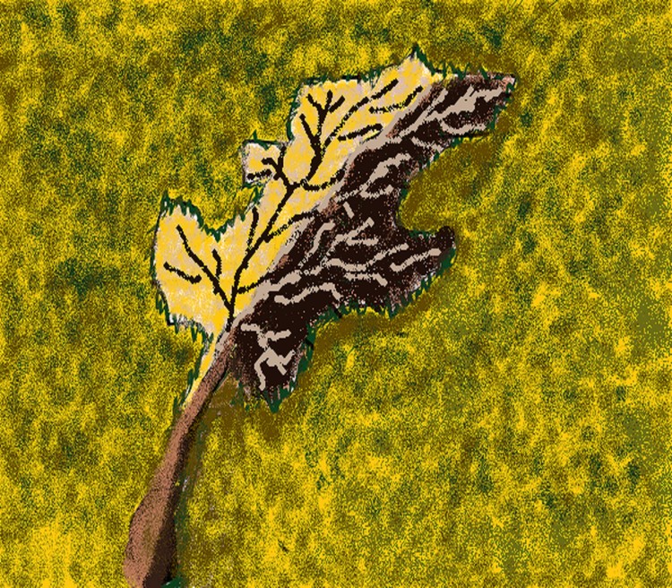 Fall leaves water