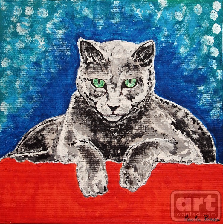 Gray cat