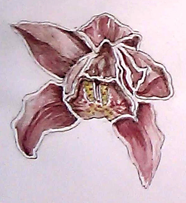Spotted Coralroot Watercolor