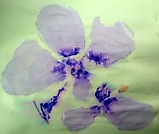 Lavender Flower Collage
