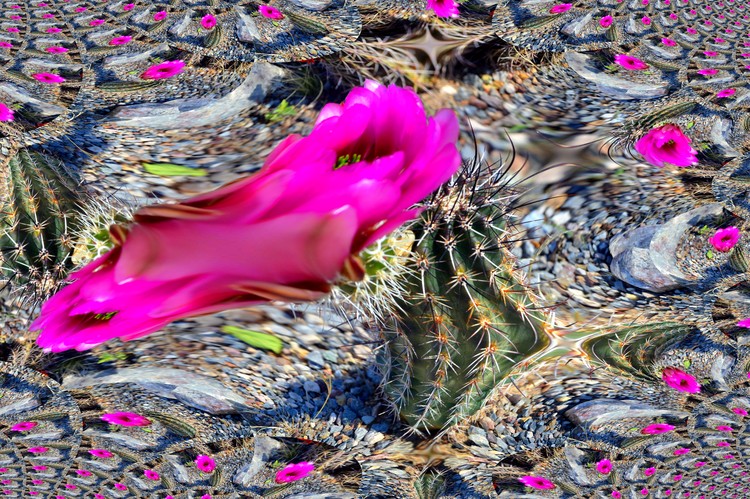 Puertas