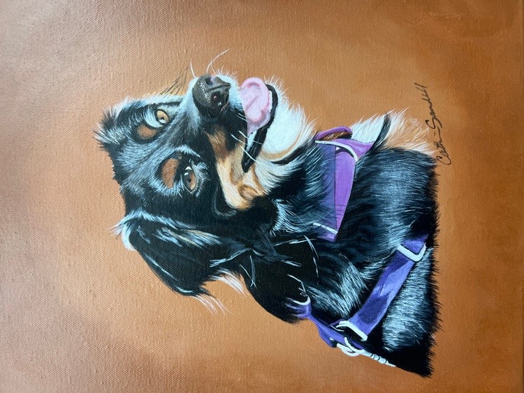 Huckleberry 