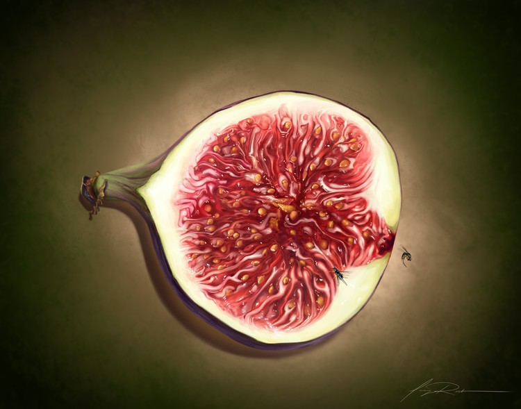 Symbiotic Starvation