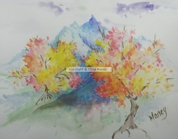 Fall Maples