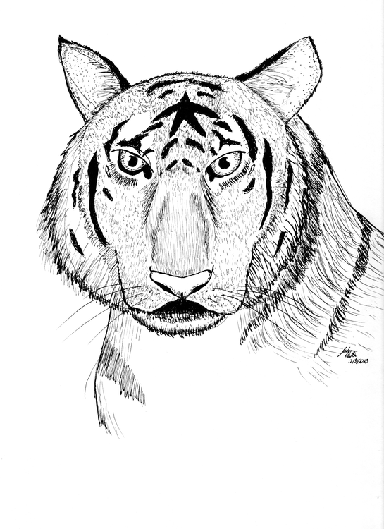 Tiger Ink