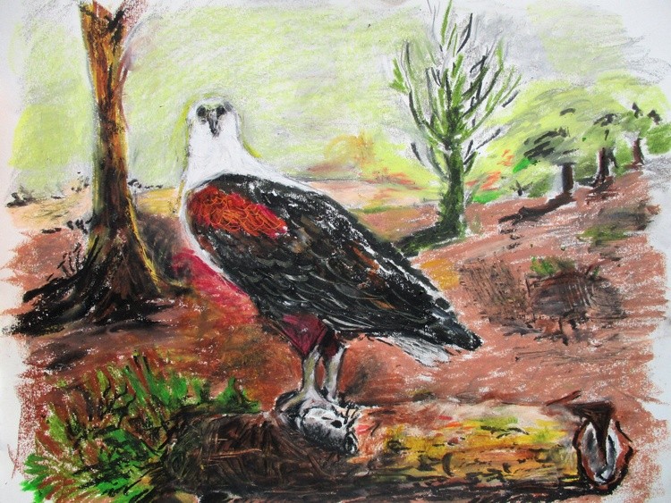 fisheagle
