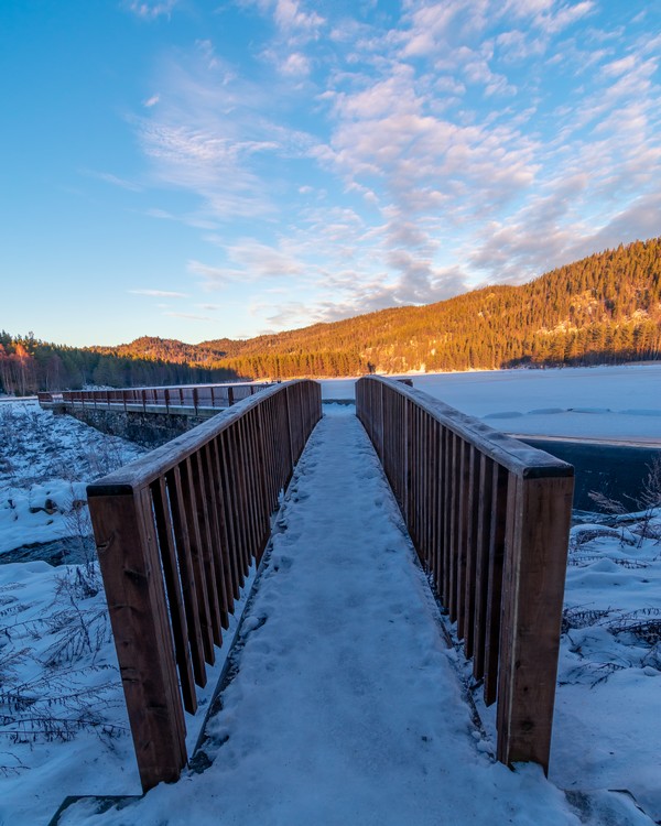 Frozen Lake Ahead