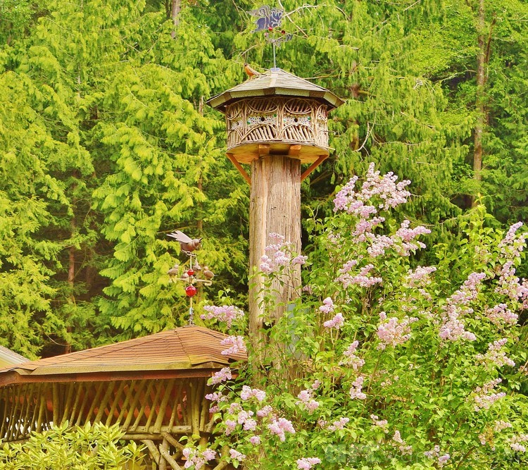 Birdhouse Morning