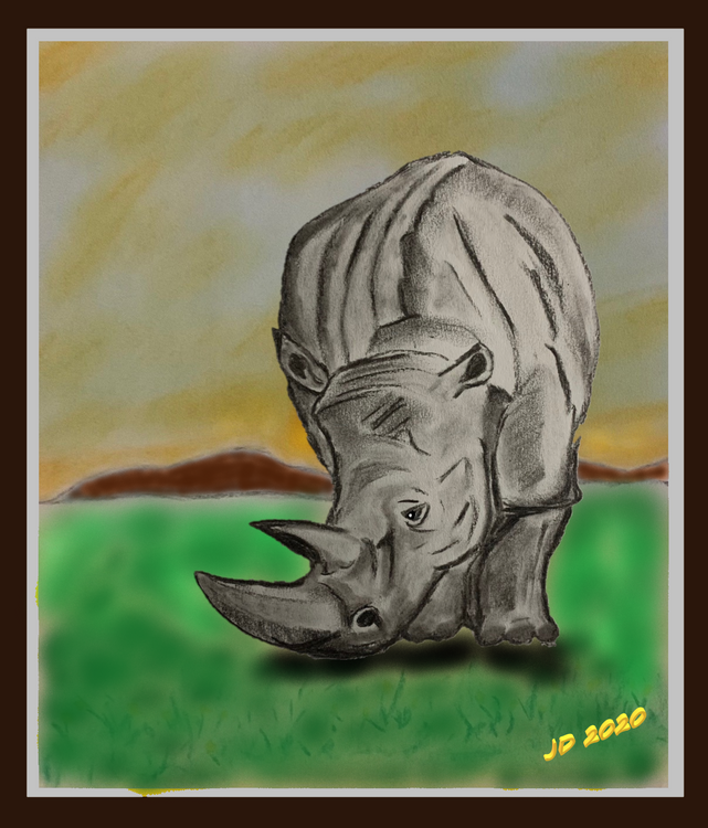 Rhino w bg 3D