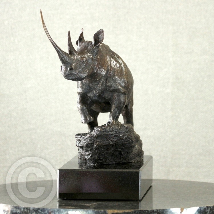 Waiwai The Black Rhino