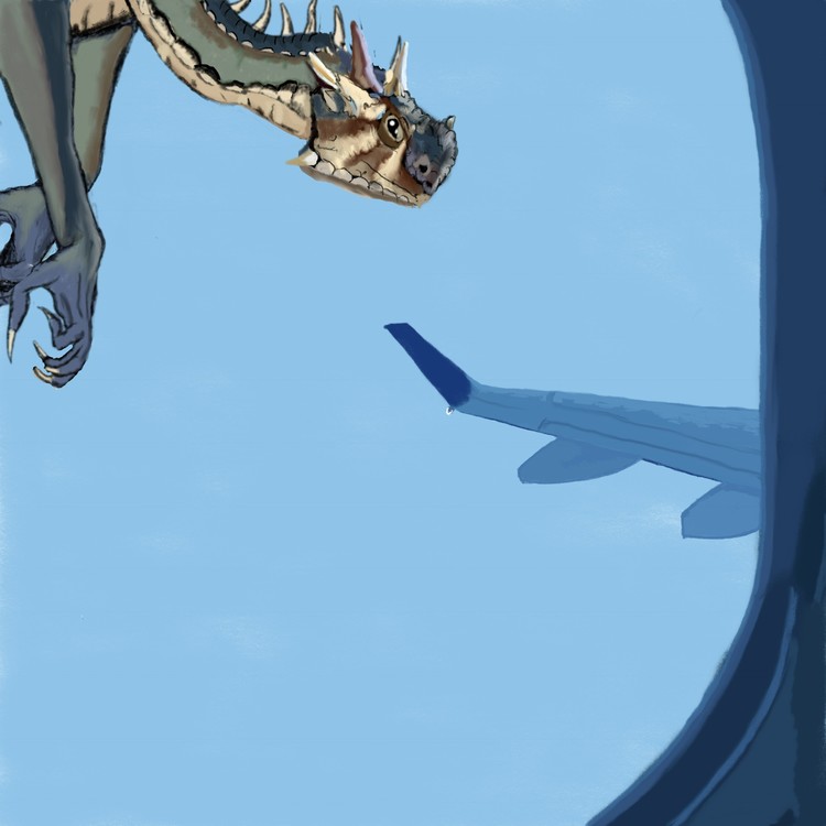 Dragon vs. Plane
