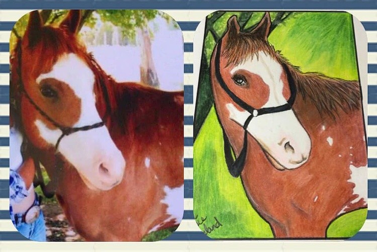 Alright if you need a present in time for Christmas this is the last call on pet portraits Cassies C