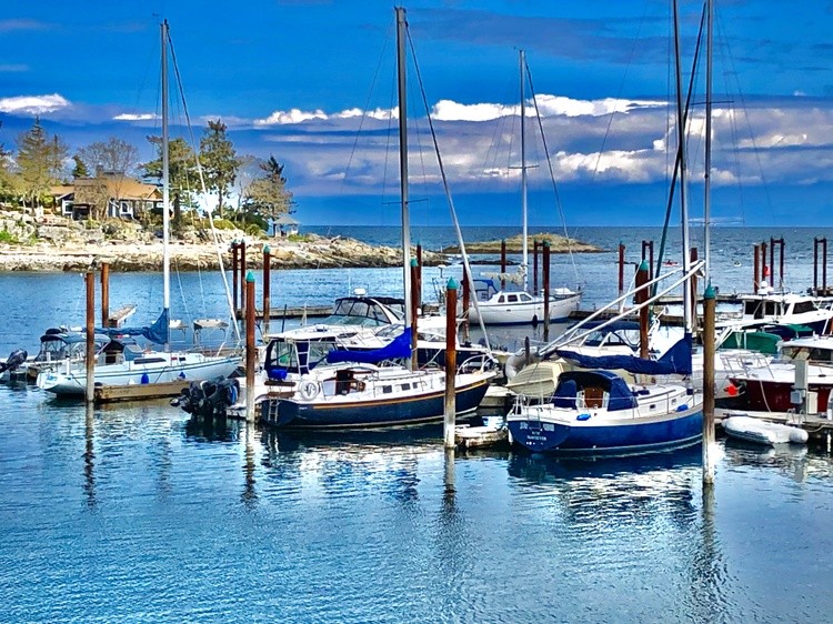 Schooner cove