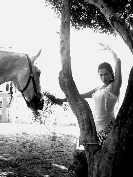 KAREN MURO HORSE