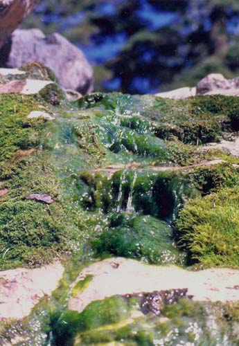 Cool Water